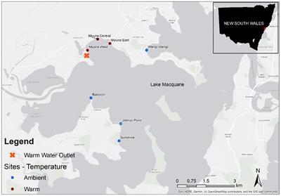 Above and below-ground bacterial communities shift in seagrass beds with warmer temperatures